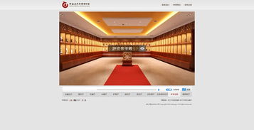 網站設計 浙江東方地質博物館 網上虛擬博物館